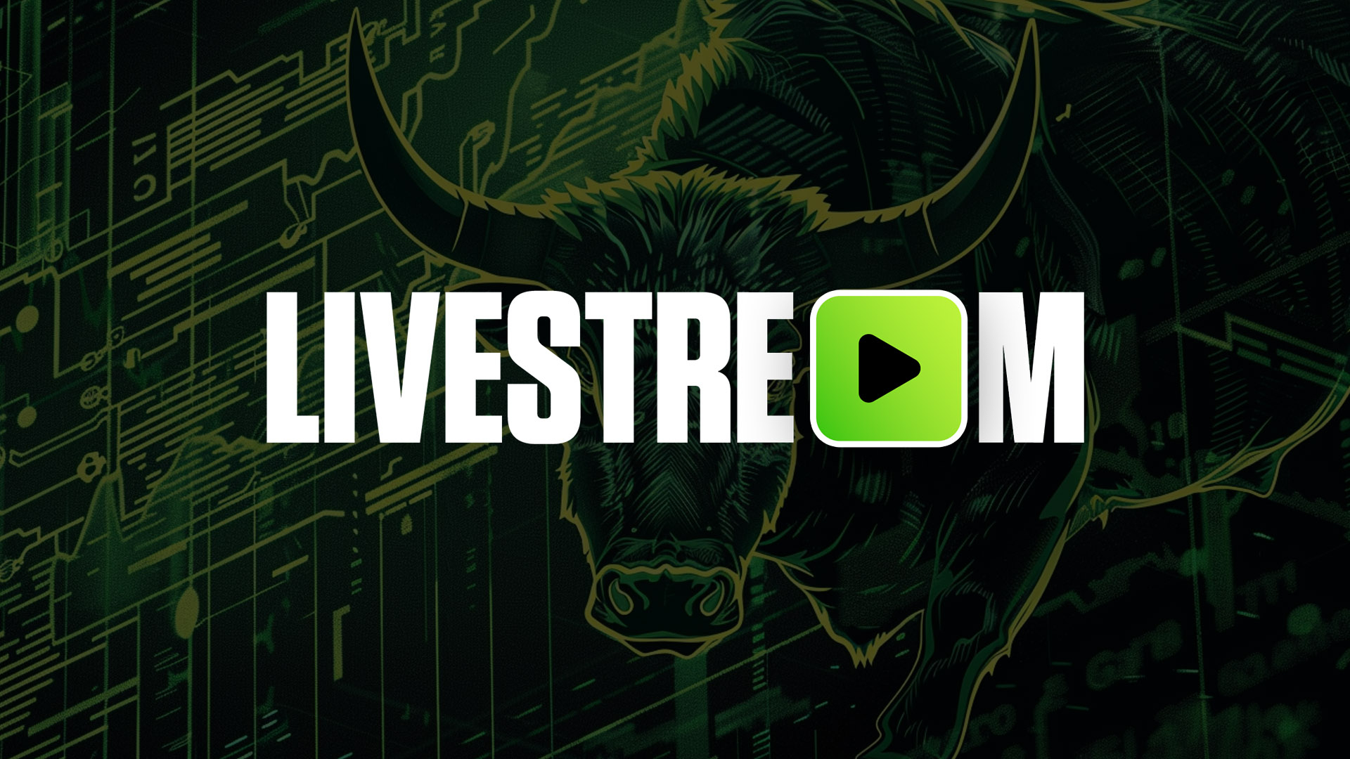 Abror & Adam special HYPE livestream