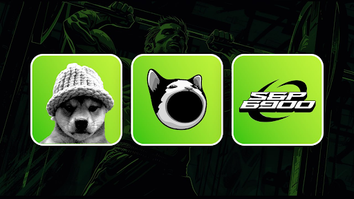 Dispersion and attention: Why are memecoins struggling