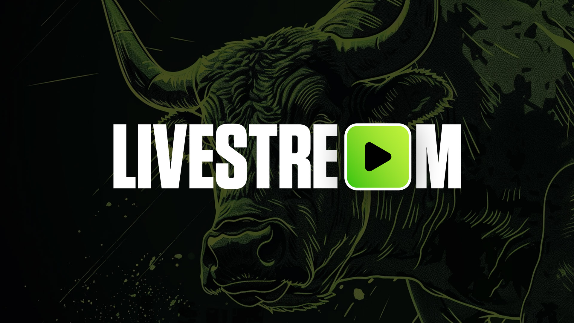 AMA with Tom, Abror and Adam: 12th December