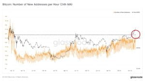 wp-image-18185 aligncenter