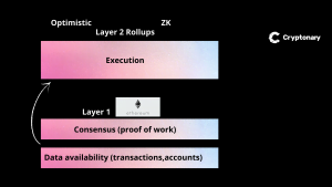 wp-image-216991 aligncenter