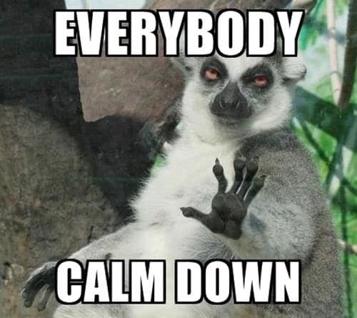 wp-image-210559 size-full aligncenter