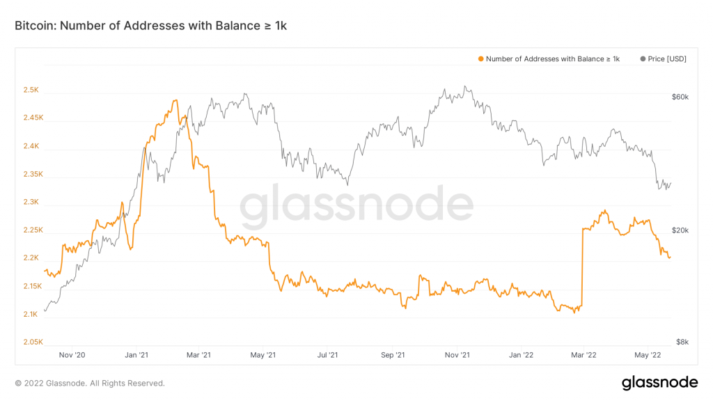 aligncenter wp-image-216960 size-large