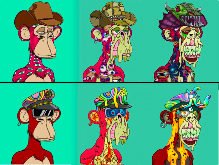 size-full wp-image-216455 aligncenter