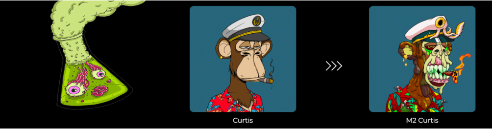 alignnone size-full wp-image-216458 aligncenter