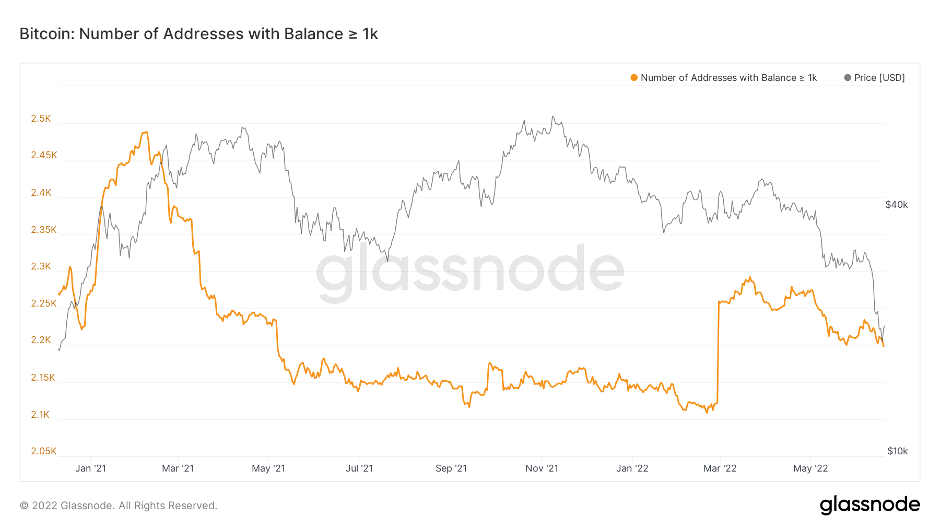 aligncenter size-full wp-image-220470