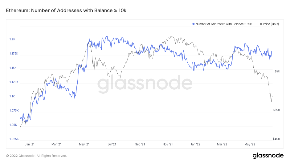 aligncenter size-full wp-image-220473