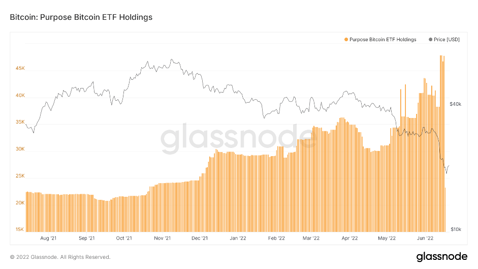 aligncenter size-full wp-image-220478