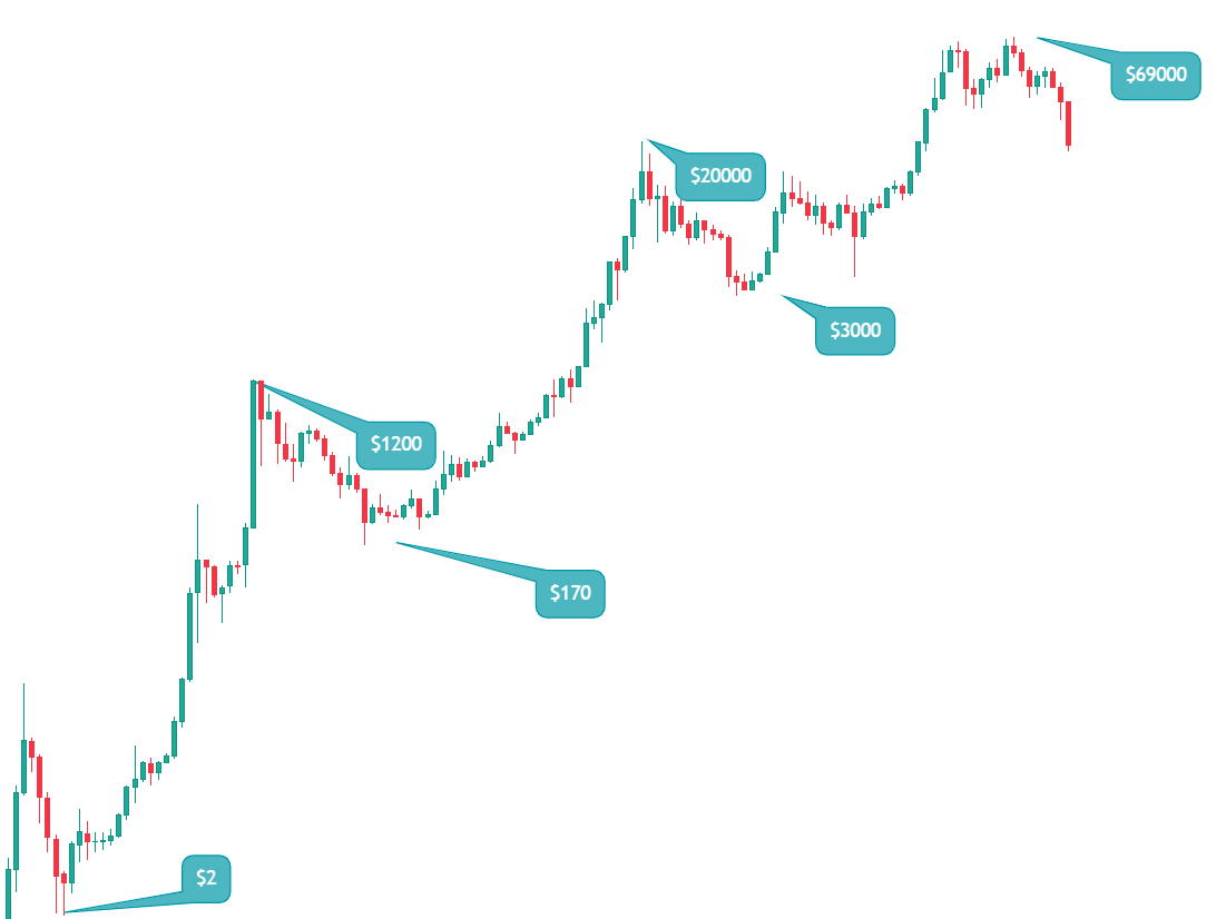 wp-image-220315 size-full