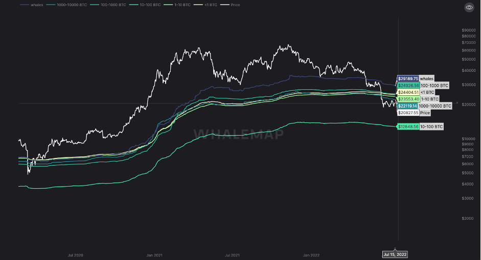 aligncenter wp-image-224326 size-full