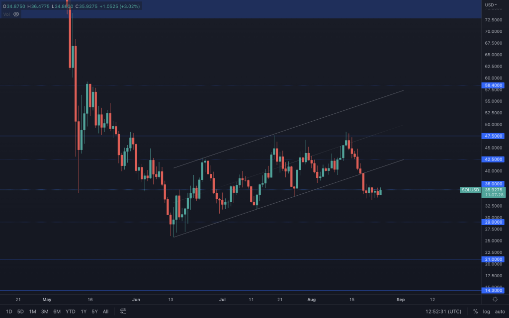 aligncenter size-large wp-image-231064