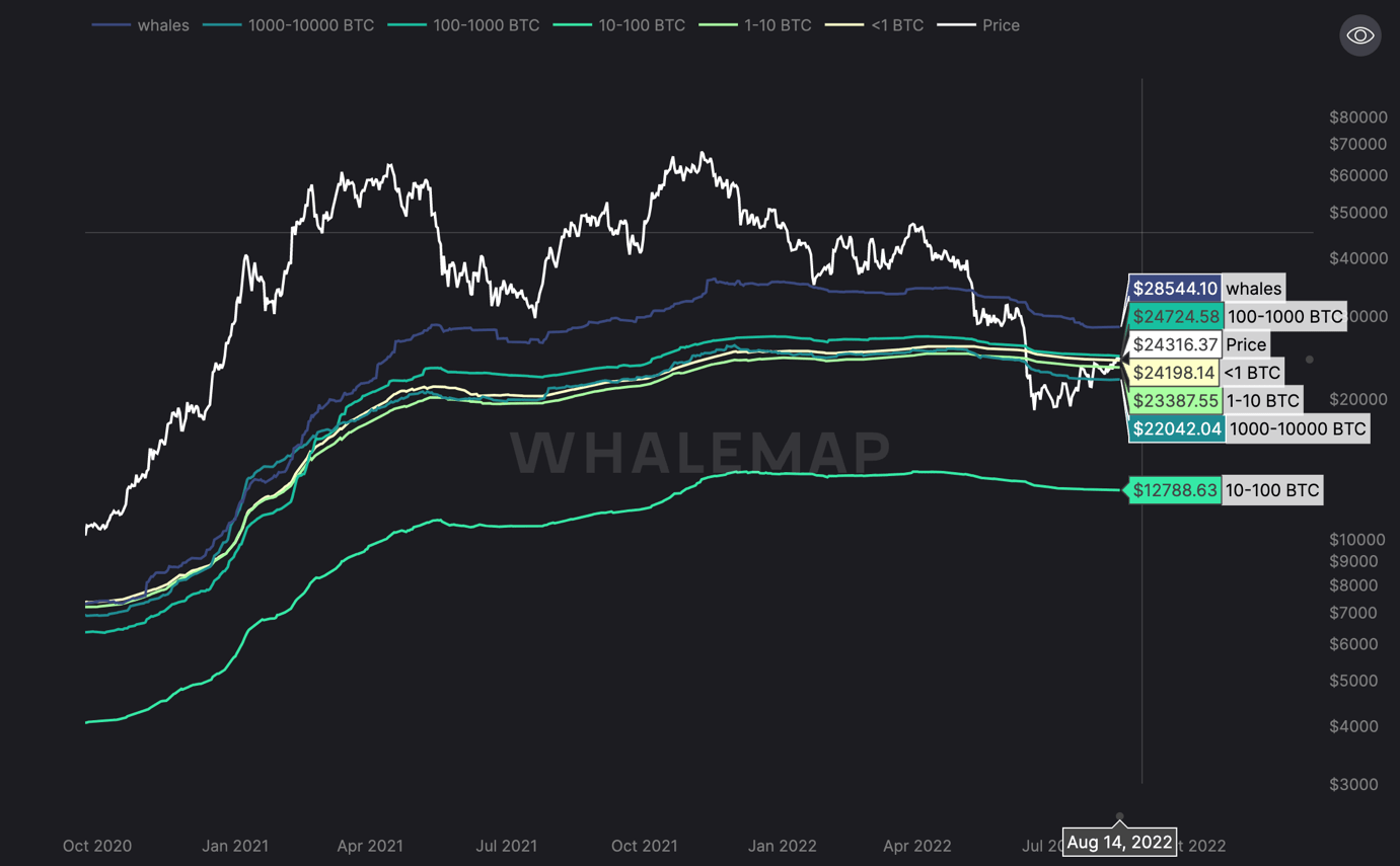 aligncenter wp-image-229000 size-full