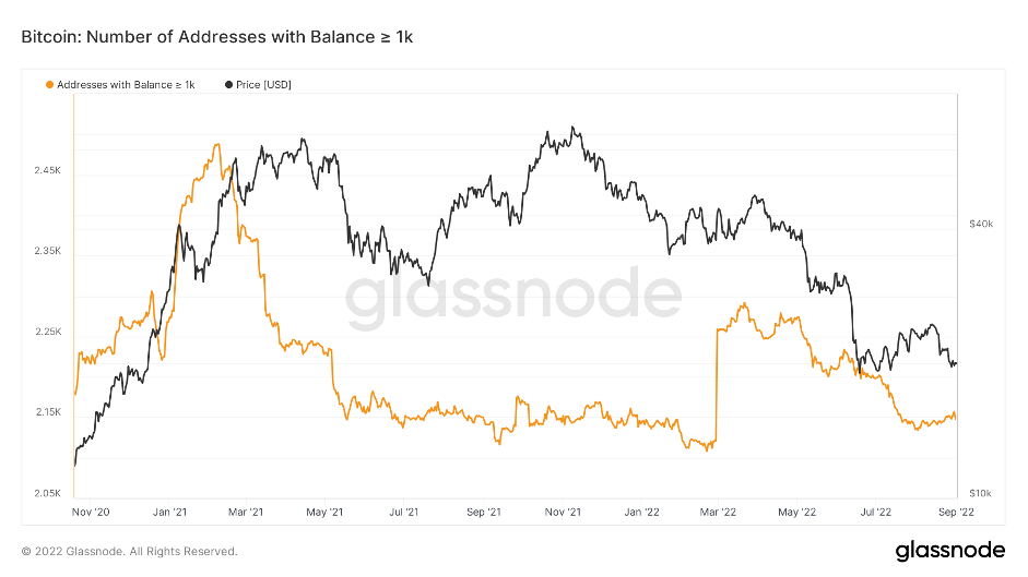 aligncenter size-full wp-image-231731
