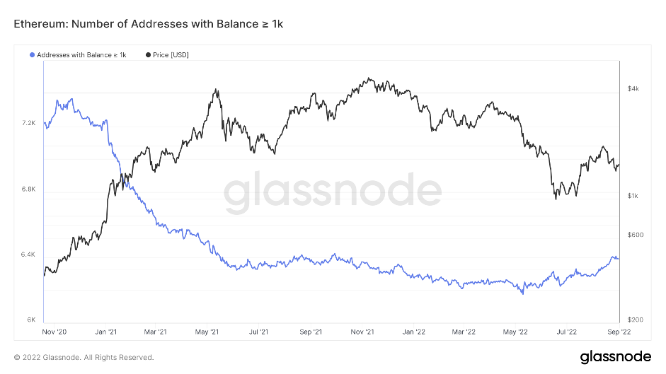 aligncenter size-full wp-image-231735