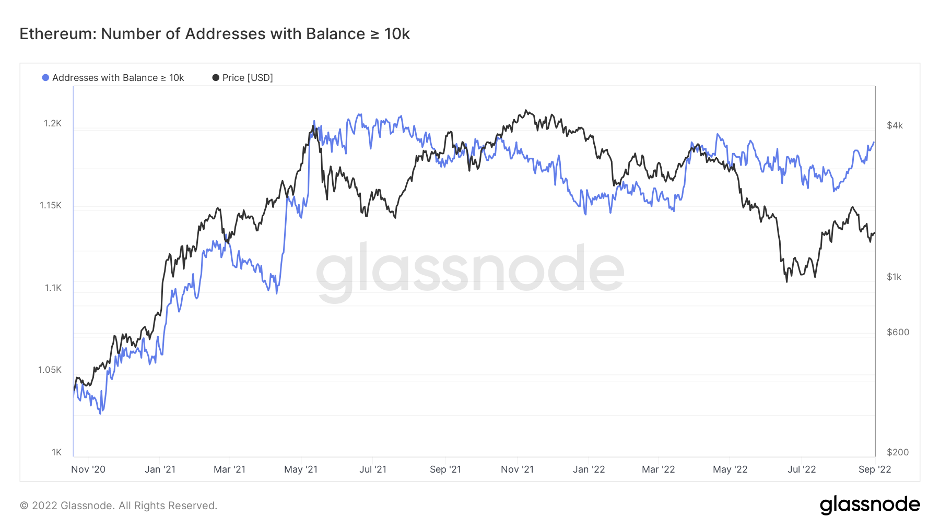 aligncenter size-full wp-image-231736