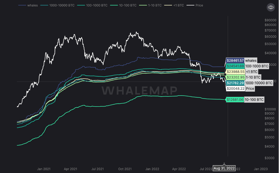 aligncenter size-full wp-image-231740