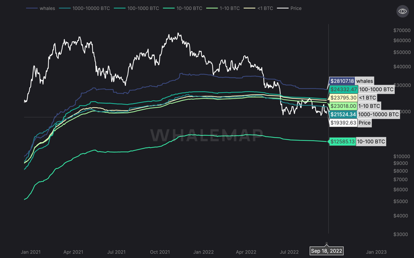 aligncenter wp-image-234529 size-full