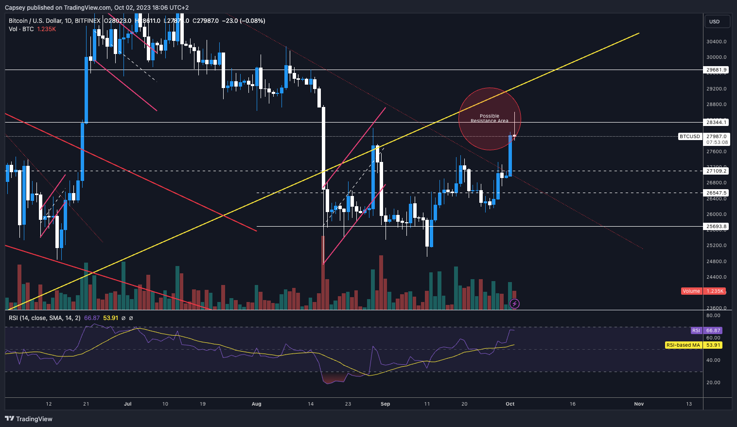 Cryptonary | Crypto market update