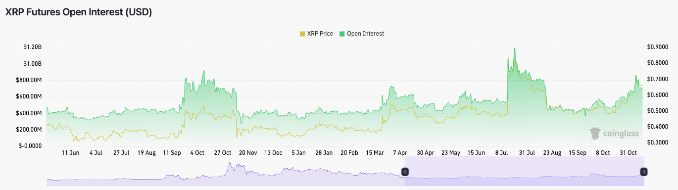 XRP bull run