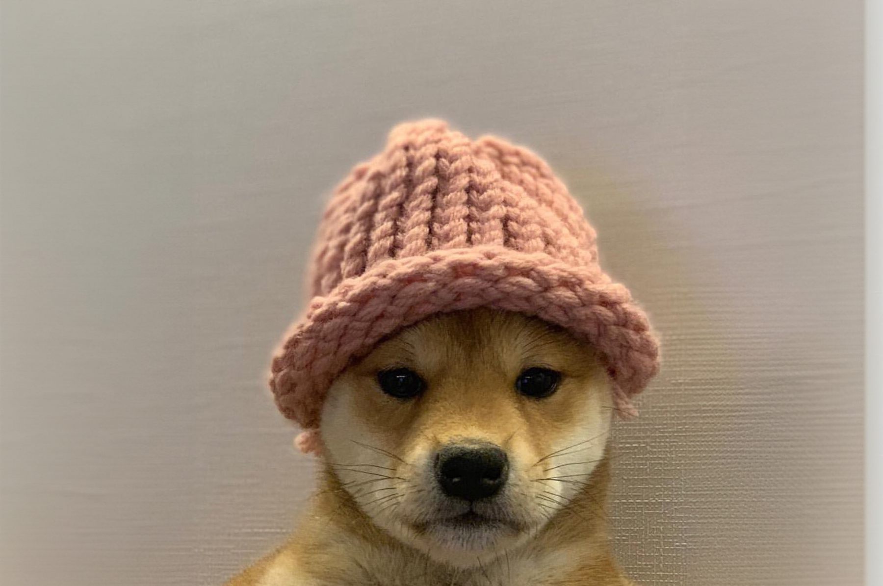 aligncenter size-full wp-image-290945