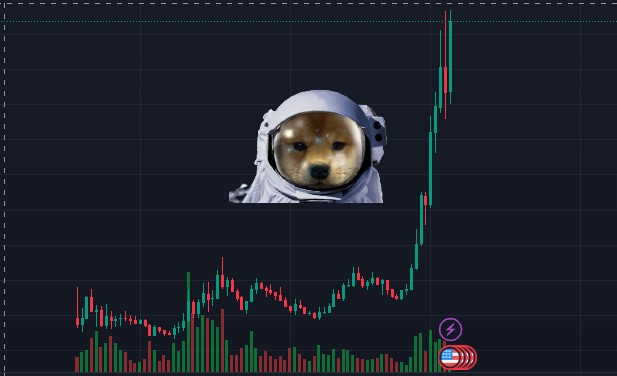 alignnone wp-image-293599 size-full