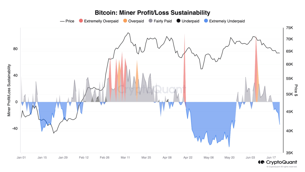 alignnone size-large wp-image-296084