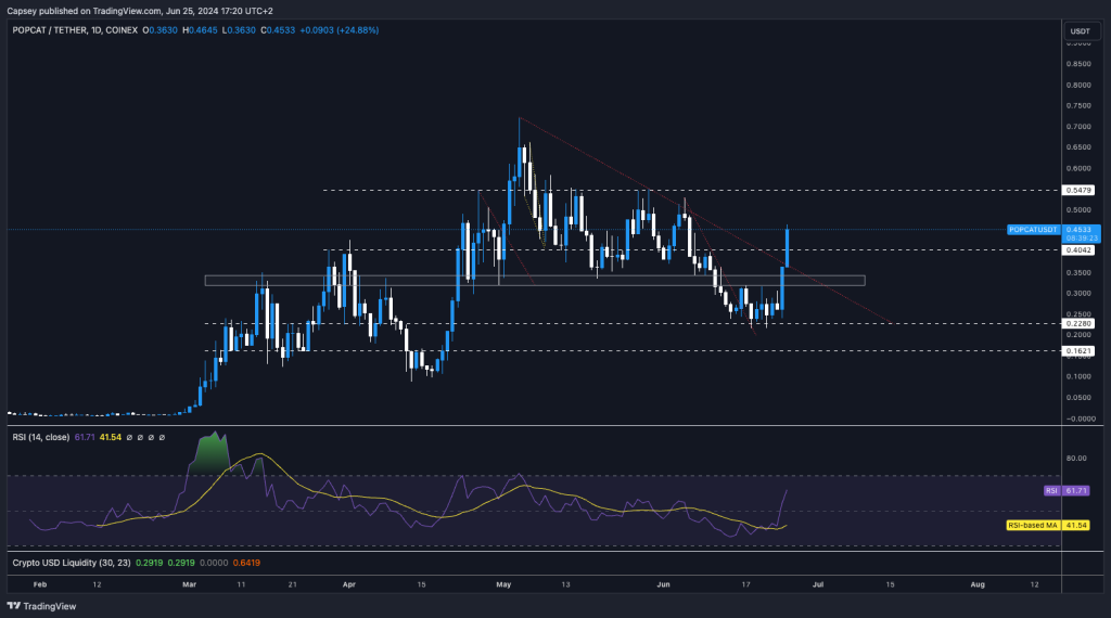 alignnone size-large wp-image-296036