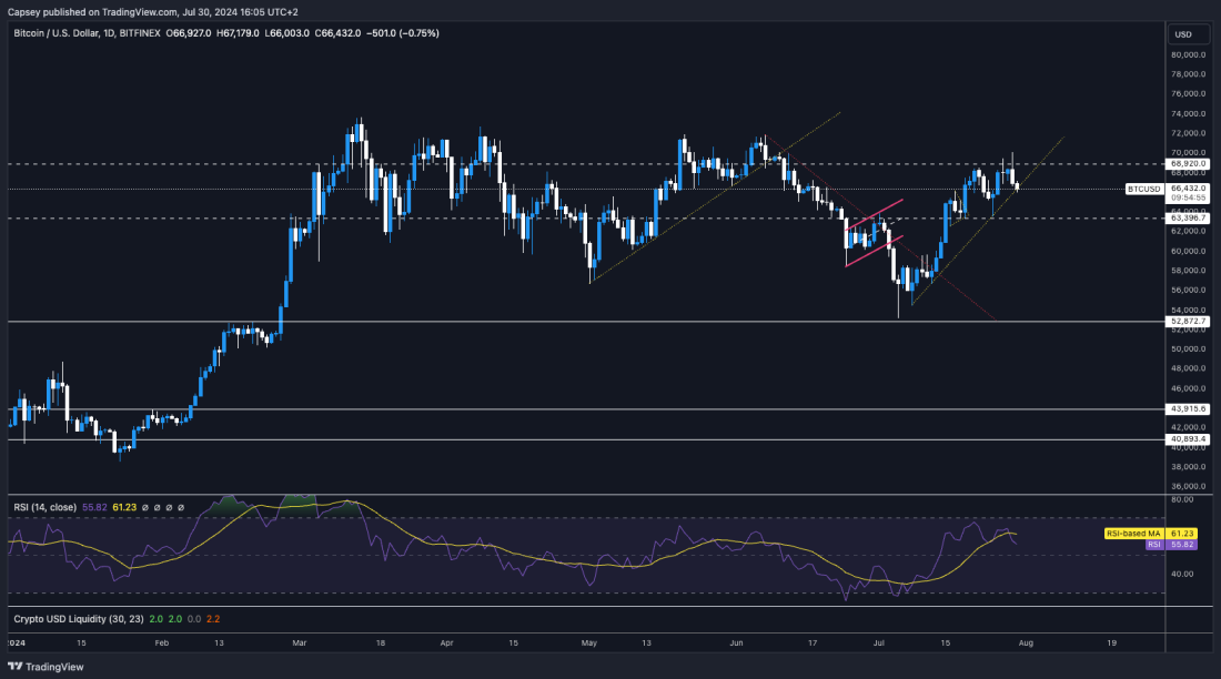 The Bitcoin chart shows price action with support and resistance levels, featuring an RSI indicator.