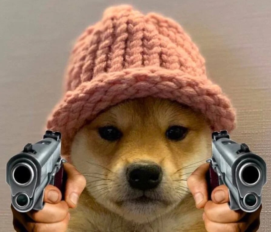 1. A dog wearing a knitted hat, holding two guns in its paws, looking directly at the camera with a serious expression.