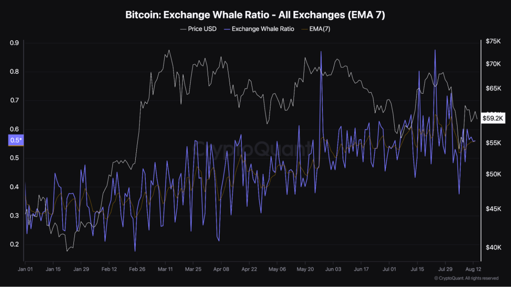 A chart displaying Bitcoin's Exchange Whale Ratio (EMA 7) across all exchanges in 2024 alongside the price, showing recent fluctuations.