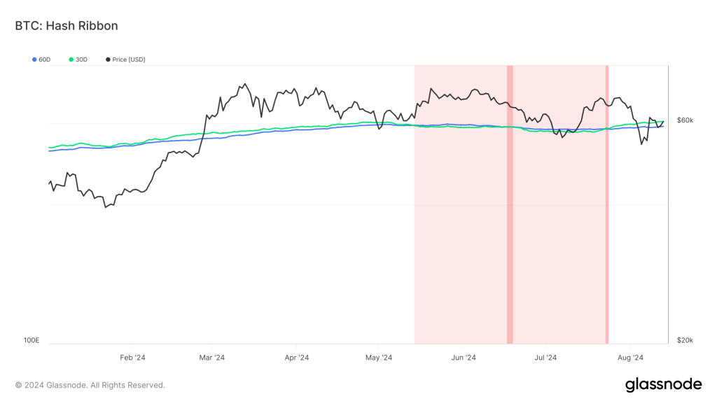 A chart displaying Bitcoin's hash ribbon indicator in 2024, with highlighted periods of miner capitulation and price movements.