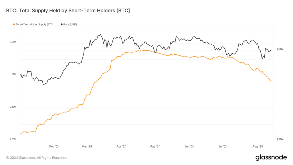 A chart showing Bitcoin's total supply held by short-term holders in 2024 alongside its price, indicating a recent decline.