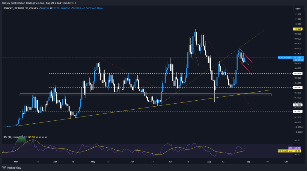 A daily chart of POPCAT/USDT showing key support and resistance levels, trend lines, and RSI for potential price movements.