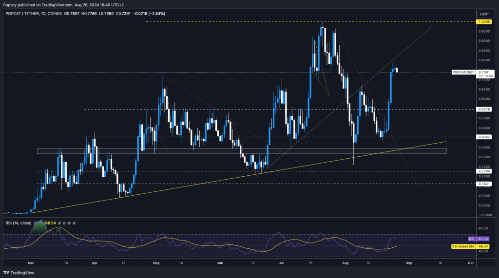 POPCAT price chart displaying technical analysis with support resistance levels trend lines and RSI indicator on dark background