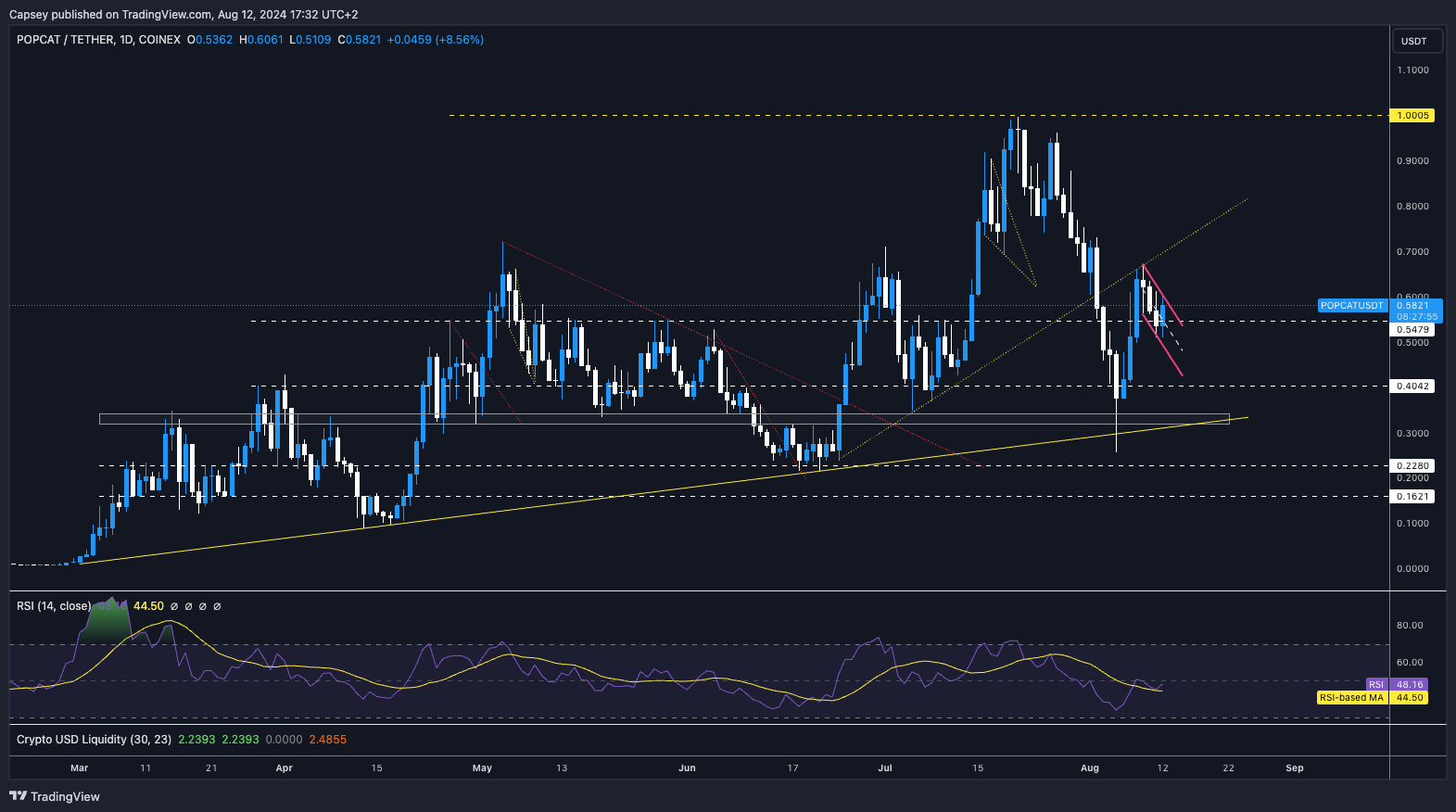 The chart shows Popcat price analysis with key support and resistance levels, RSI indicator, and trend lines highlighted.