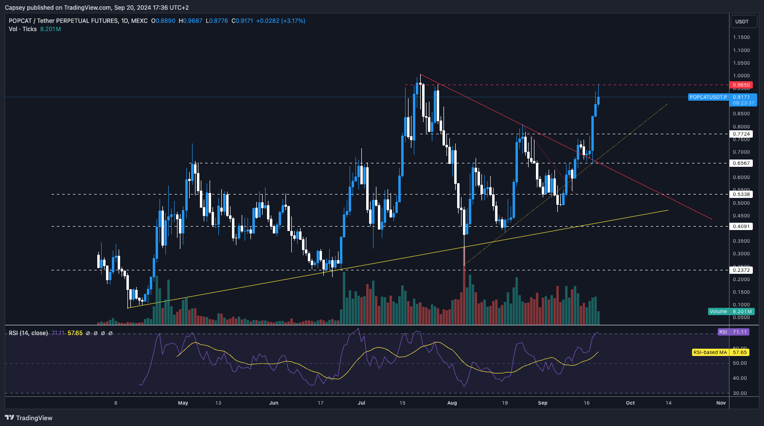 8. POPCAT price analysis chart displaying resistance levels, trading volume, and RSI, with possible upward or downward movement.