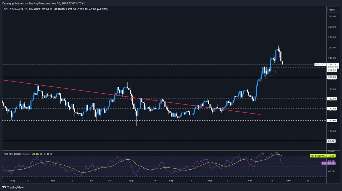 6. Solana (SOL) daily price chart showing a pullback to support at 220, RSI trends, and resistance levels.