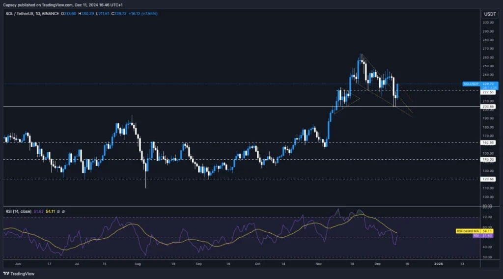 6. TradingView chart of SOL-USDT showing price action, key support-resistance levels, RSI trends, and consolidation near $222 support zone.