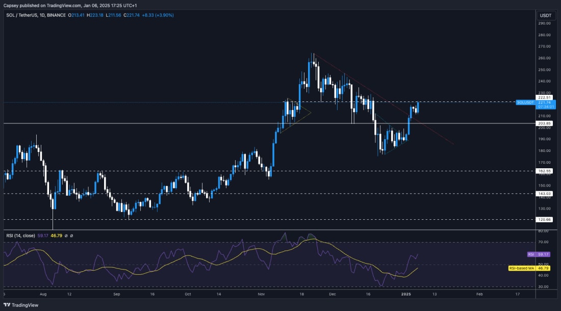 6. SOLUSDT daily chart with resistance trends, support zones, and RSI signaling potential upward price action.