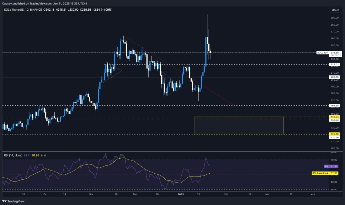 6. Solana ($SOL) price chart showcasing resistance at $222, potential demand zones at $145 and $120, and RSI trend insights.