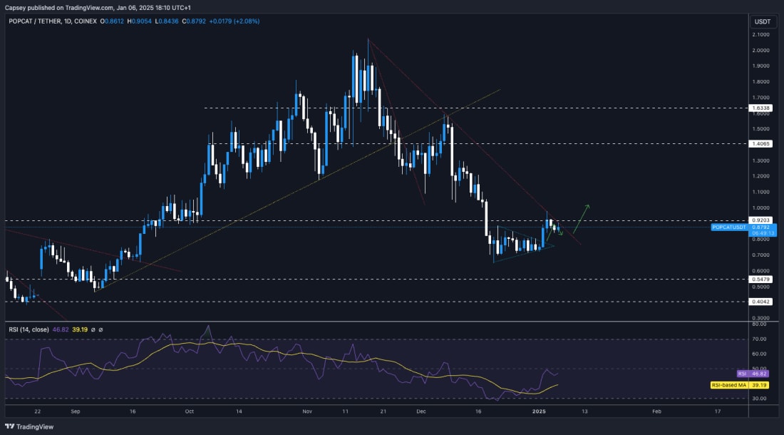 8. POPCATUSDT daily chart highlighting key levels of support, resistance, and RSI showing consolidation with potential for an upward breakout.