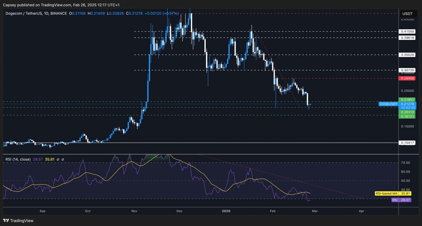 1. A daily chart of Dogecoin (DOGE) against USDT on Binance. Price is testing support around 0.21, with resistance at 0.284. RSI is oversold.