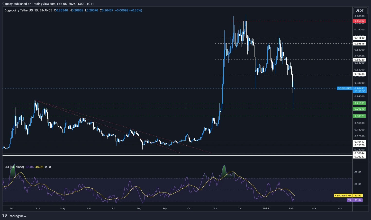 1. Dogecoin (DOGE) daily price chart on Binance, showing key support at 0.22 and resistance at 0.30. RSI indicates oversold conditions.