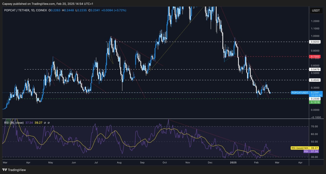 3. POPCATUSDT daily chart displaying price battling key support levels, forming a potential base, with RSI exiting oversold conditions.