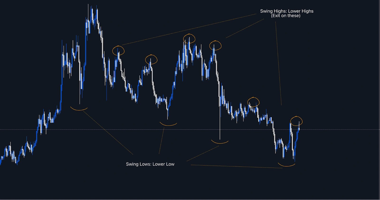 alignnone size-full wp-image-308232