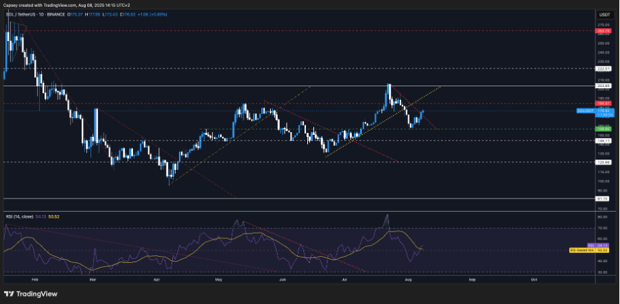 alignnone size-full wp-image-310385