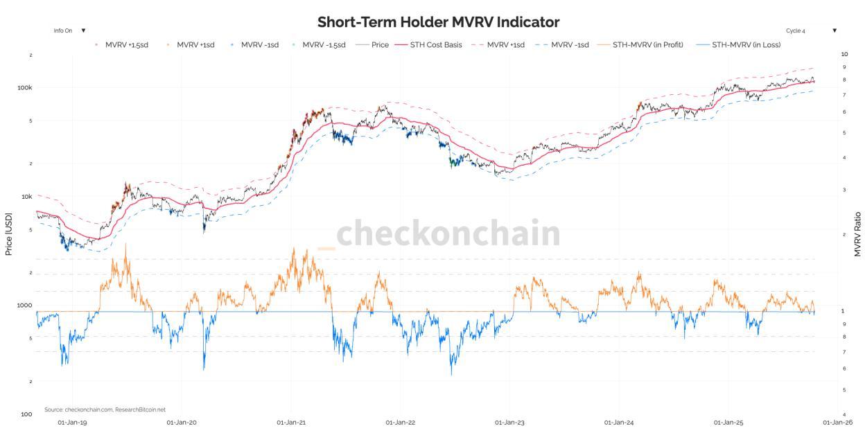 Short-Term Holder MVRV Indicator