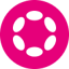 polkadot logo